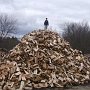 Wood Pile